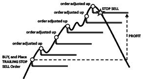 初學者如何在 FBS 進行交易 初學者如何在 FBS 進行交易